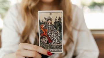 Qual o papel do Tarlogo?