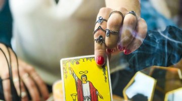 O que  um tarlogo? Qual o seu papel?